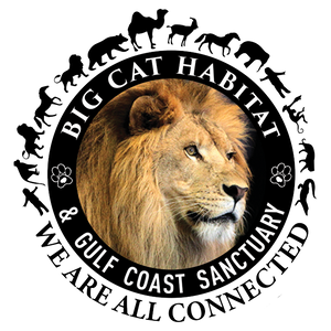 Big Cat Habitat & Gulf Coast Sanctuary logo